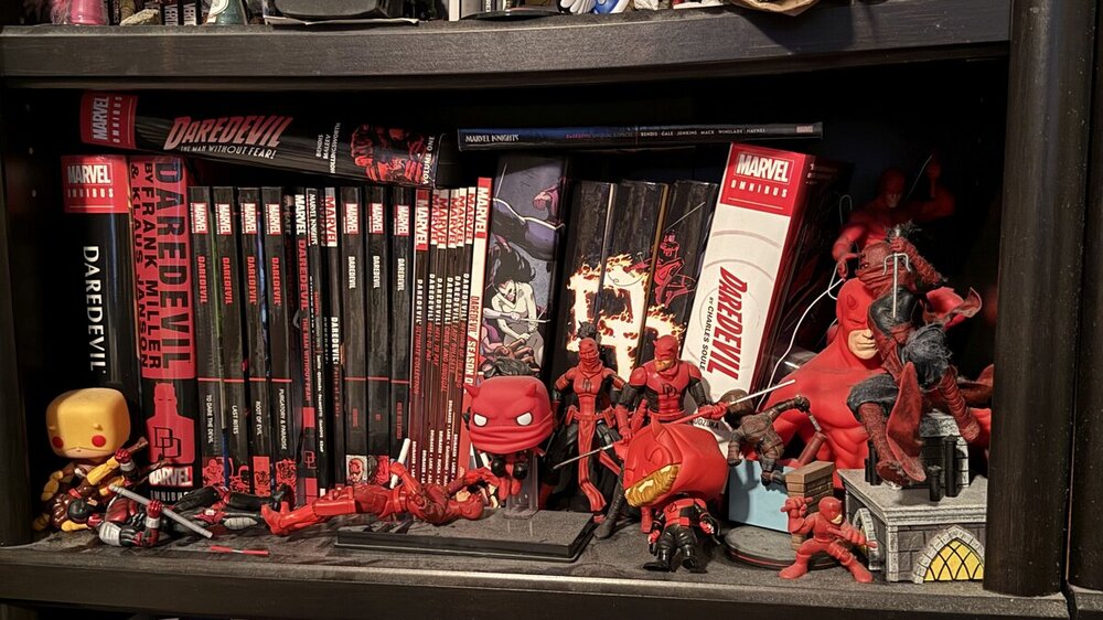DD shelf.jpg