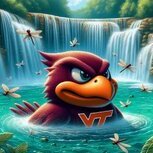 Sevenhokie
